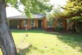 Property photo of 6 Robert Erwin Crescent Tanunda SA 5352