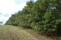 Property photo of 28604 Bruce Highway Doolbi QLD 4660