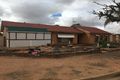 Property photo of 62 Hannan Street Risdon Park South SA 5540