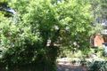 Property photo of 32 Carcoola Crescent Normanhurst NSW 2076