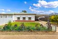 Property photo of 2 Barham Avenue Morphettville SA 5043