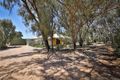 Property photo of 99 Cureton Avenue Nichols Point VIC 3501