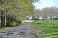 Property photo of 50 Wrights Lane Canobolas NSW 2800