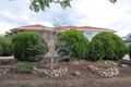 Property photo of 91 Eucalypt Drive Lilydale VIC 3140