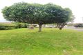 Property photo of 37 Michael Street Yokine WA 6060