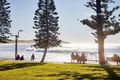 Property photo of 11/74 Pacific Parade Dee Why NSW 2099