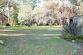 Property photo of 44 Mareeba Avenue Buxton VIC 3711