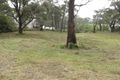 Property photo of 18 Fox Avenue White Beach TAS 7184