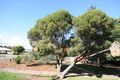 Property photo of 39/16-22 Trent Avenue Klemzig SA 5087