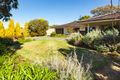 Property photo of 25 Clement Drive Karrinyup WA 6018