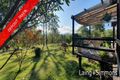 Property photo of 67 Gun Gully Road Upper Lansdowne NSW 2430