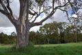 Property photo of 96-98 Evergreen Drive South Maclean QLD 4280