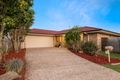 Property photo of 6 Megan Court Sunnybank Hills QLD 4109