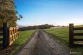 Property photo of 243 Mt Eirene Road Gembrook VIC 3783