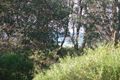 Property photo of 47 Matron Porter Drive Narrawallee NSW 2539