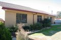 Property photo of 14 Kamarooka Street Barooga NSW 3644