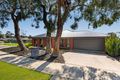 Property photo of 19 Irontree Close Kangaroo Flat VIC 3555