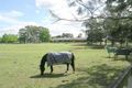 Property photo of 9 Whites Road Glenorie NSW 2157