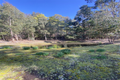 Property photo of 280 Lohreys Road St Marys TAS 7215