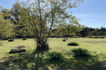 Property photo of 280 Lohreys Road St Marys TAS 7215