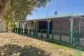 Property photo of 10 Morrison Place Leeman WA 6514