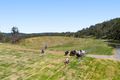 Property photo of LOT 445 Ted Road Geham QLD 4352