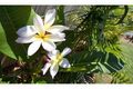 Property photo of 10 Brushtail Court Pottsville NSW 2489