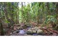Property photo of 18 Cascade Road Terranora NSW 2486