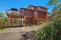 Property photo of 31 Scott Street Byron Bay NSW 2481