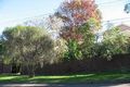 Property photo of 37 Darley Street Forestville NSW 2087
