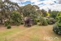 Property photo of 1916 Adelong Road Tumblong NSW 2729