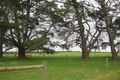 Property photo of 25 Collivers Road Lancefield VIC 3435