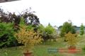 Property photo of 1 Batlow Avenue Batlow NSW 2730