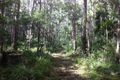 Property photo of 114 Webster Road Wondecla QLD 4887