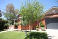 Property photo of 47 Flinders Street Turvey Park NSW 2650