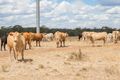 Property photo of 5505 Newell Highway Gilgandra NSW 2827