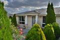 Property photo of 8 Boronia Drive Warwick QLD 4370