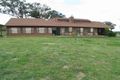 Property photo of 53 Thompsons Lane Gulgong NSW 2852