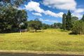 Property photo of 8 Erin Street Stroud NSW 2425