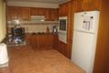 Property photo of 88 Arab Road Padstow NSW 2211