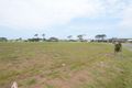 Property photo of 38B Bluehaven Drive Old Bar NSW 2430