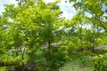 Property photo of 290 Wheewall Road Berry Springs NT 0838