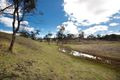 Property photo of 1 Greenleaf Terrace Hodgson Vale QLD 4352