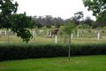 Property photo of 3170 South Gippsland Highway Tooradin VIC 3980