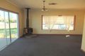 Property photo of 56 Hinds Street Narrabri NSW 2390