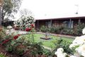 Property photo of 16 Kulkyne Street Renmark West SA 5341