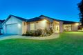 Property photo of 5 Stricta Place Frenchs Forest NSW 2086