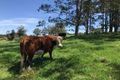 Property photo of 95 Camp Creek Road Lowanna NSW 2450