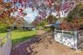 Property photo of 251 Palmwoods-Montville Road Palmwoods QLD 4555