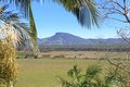 Property photo of 14 Yarrock Street Coolum Beach QLD 4573